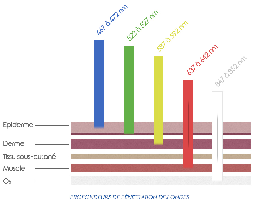 PhotoTherapy Dynamic PDT - Wave penetration depth